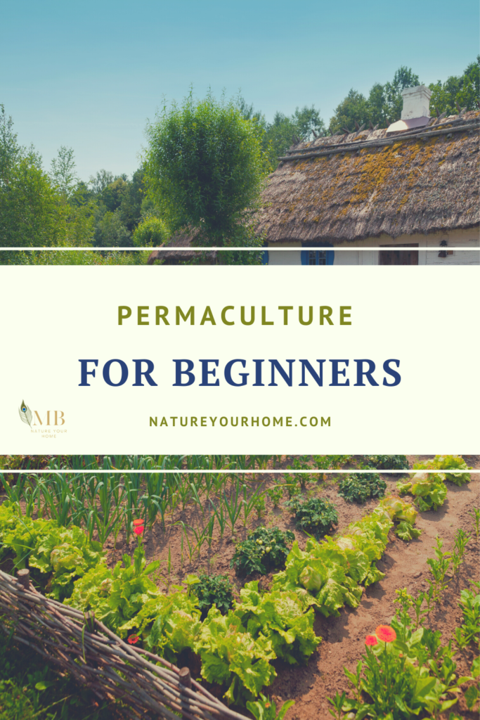 permaculture for beginners